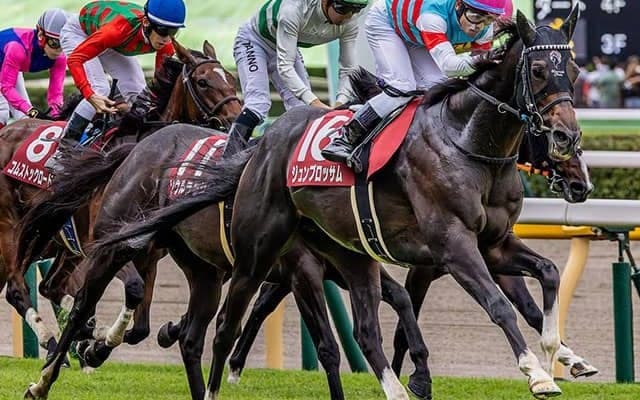 【マイラーズC想定騎手】ジュンブロッサムは武豊騎手、セオは岩田望来騎手