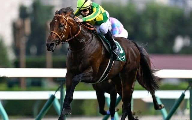 ミュージアムマイルら今年もGI馬を輩出 「マルゼンスキー」の血が秘める底力