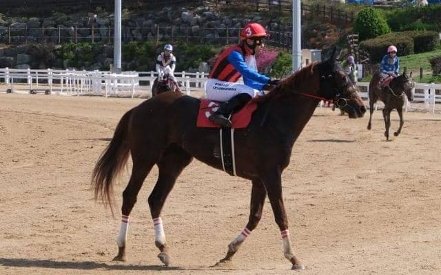  【韓国・YTN杯】高知のユメノホノオが3着に健闘 吉原騎手「この馬の強さを感じた」