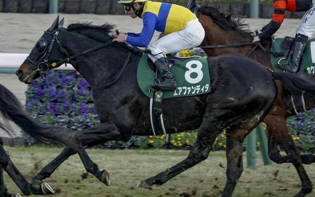 「エア軍団」が5年3カ月ぶりのJRA重賞勝ちなるか マイラーズCでレース史上最高齢V狙う