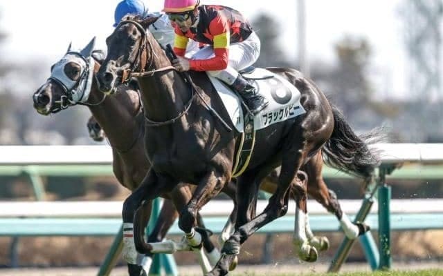 【フローラS予想オッズ】ブラックルビーが予想1番人気