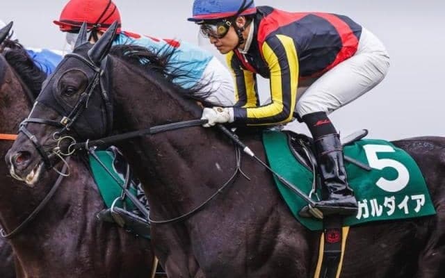 半姉は名牝アエロリット 毎日杯2着馬が青葉賞で重賞初Vを狙う