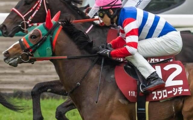 シチー軍団が12年ぶりのJRA重賞制覇なるか 青葉賞で一発狙う