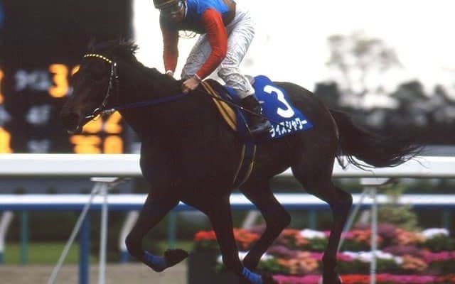 唯一のGIウイナーが728日ぶりに見せた意地 ライスシャワー2度目の天皇賞(春)制覇から30年