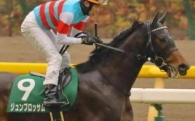 武豊騎手に珍記録達成かかる マイラーズCで同一重賞最長ブランクVなるか