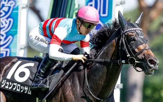 【マイラーズC展望】重賞勝ちの実績馬ジュンブロッサムが巻き返しを狙う