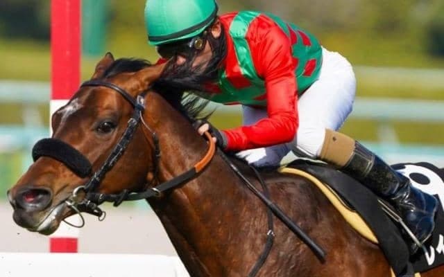 フランケル産駒が3年4カ月ぶりのJRA重賞勝ちなるか マイラーズCで強豪撃破狙う