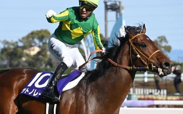 【香港・チェアマンズSP枠順】高松宮記念覇者のサトノレーヴは6番ゲート、11連勝中の香港馬は4番ゲート