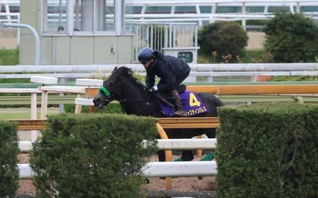 ジャスティンパレスなど、天皇賞(春)1週前追い切り速報/栗東トレセンニュース
