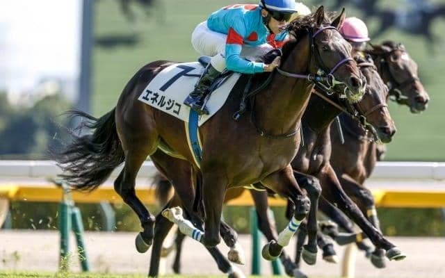 【青葉賞出走馬・騎手確定】エネルジコ＆C.ルメール騎手、ファイアンクランツ＆J.モレイラ騎手など13頭