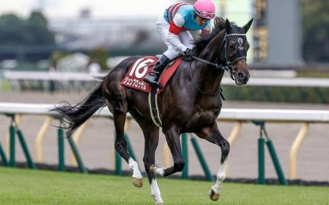 【マイラーズC出走馬・騎手確定】ジュンブロッサム＆武豊騎手、セオ＆岩田望来騎手など10頭