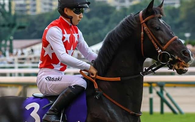 半兄は重賞2勝馬の良血馬 デビューVなるか