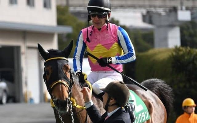 【マイラーズC枠順確定】ロングランは8枠10番、ジュンブロッサムは3枠3番