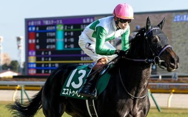 【フローラS枠順確定】エストゥペンダは8枠18番、ゴーソーファーは5枠9番