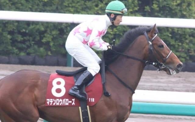 【青葉賞枠順確定】マテンロウバローズは1枠1番、エネルジコは7枠10番