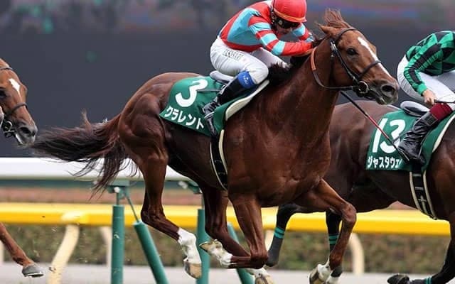 マイラーズCは人気馬が有力 近10年の波乱は一度だけ