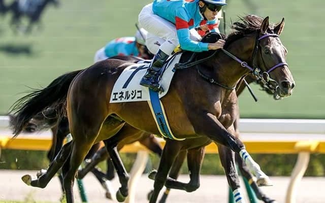 青葉賞が開幕週に 東京開幕週の2400mのデータは？