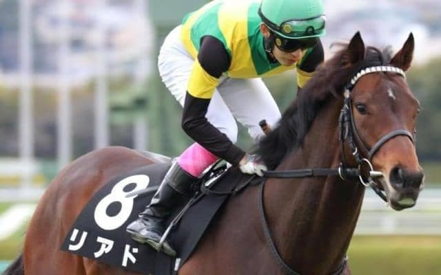 兄弟は重賞覇者の5億円馬 不振脱出で2年4カ月ぶりVなるか