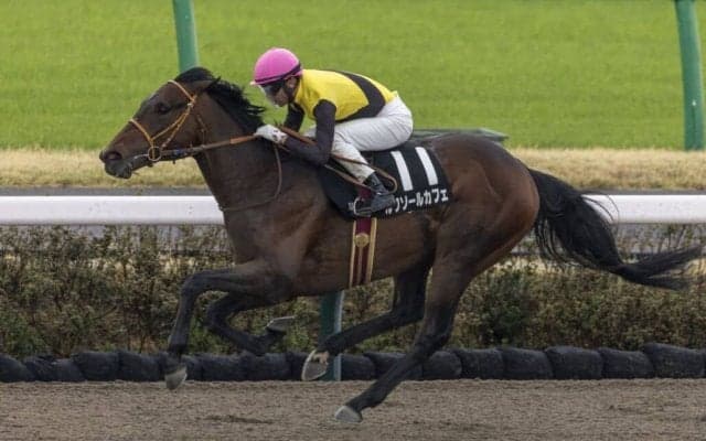 ルクソールカフェが米国へ到着…ケンタッキーダービー出走予定