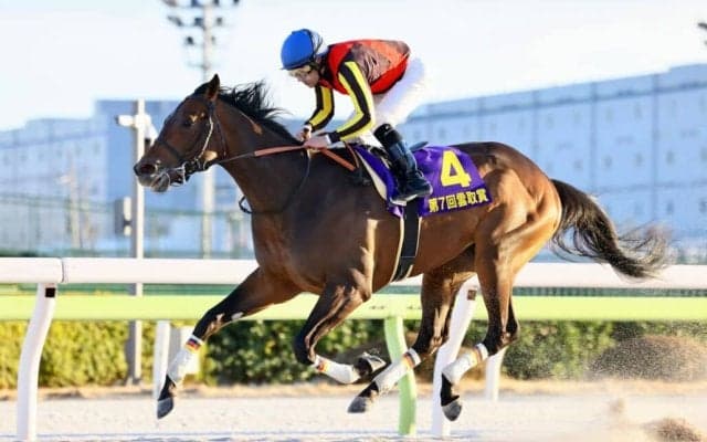 【羽田盃】ジャナドリアなどJRA馬は4頭…ダートクラシック初戦の出走予定馬