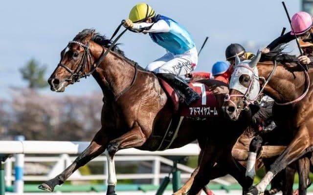 【NHKマイルC想定馬・騎手】アドマイヤズーム、ランスオブカオスなど19頭