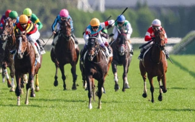 武豊ジュンブロッサムと久々のコンビ復活…今週の騎乗馬