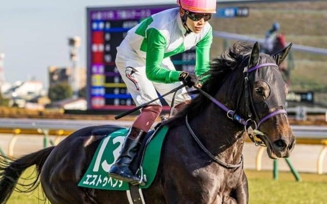 【フローラS予想】サンデーサイレンス系を筆頭とした血統に良績が集中！ 父ミスプロ系は前走の人気が好走の鍵