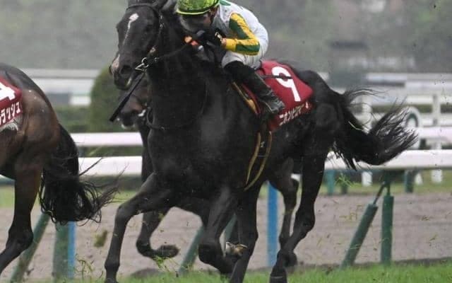 【マイラーズC予想】前走1600mでの大敗は致命的!? 昨年の3着馬が当てはまった消去法データとは