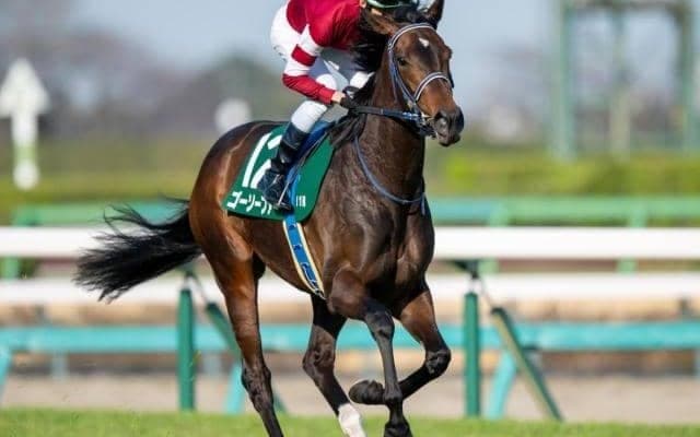 東京芝は開幕週でも外差しOK ゴーソーファーの差し切りだ