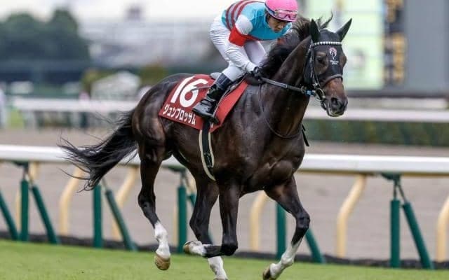 【AI予想・マイラーズC】上位人気馬に良績が集中するGI前哨戦！ 人工知能はメンバー唯一のマイル重賞ウイナーの反撃に期待