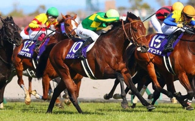 【チェアマンズスプリントプライズ】サトノレーヴは6番ゲートから…日本馬は4頭