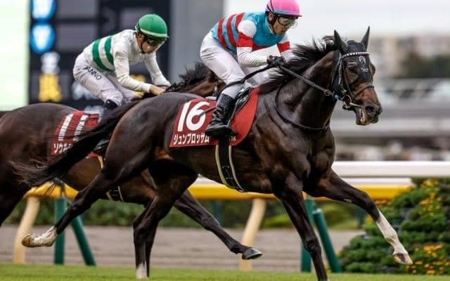 【今日の注目ポイント】マイラーズCとフローラSの2重賞と香港チャンピオンズデー