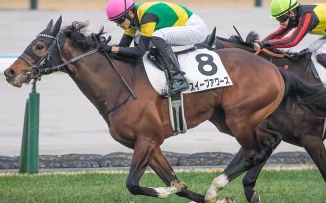 父はディープ×母はGI・3勝 良血馬がセンテニアル・パークSでOP入り狙う