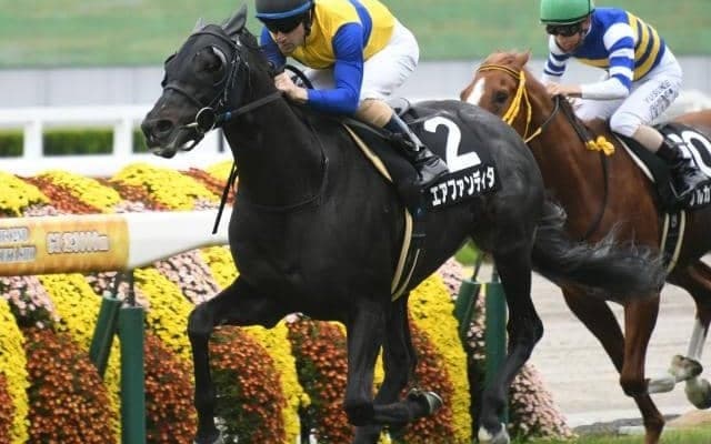 【マイラーズC予想】安田記念の前哨戦 開幕週ゆえ高速馬場に対する適性重視で