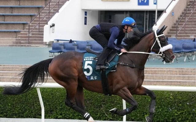 【競馬予想】香港チャンピオンズデー　日本馬出走のＧＩ３レースで一発が期待できる穴馬