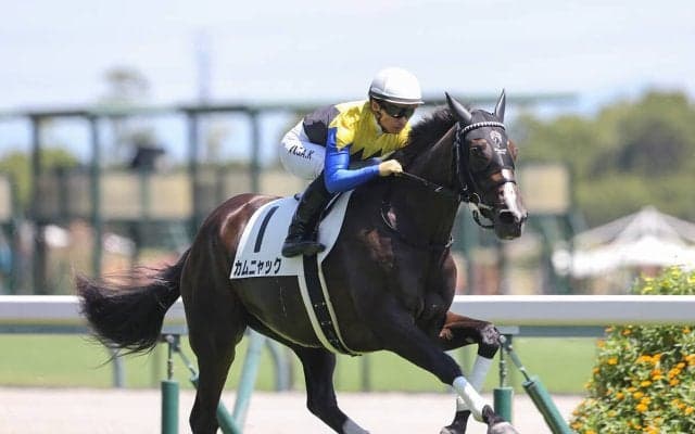 【競馬予想】フローラＳで狙える穴馬２頭　春のＧＩシリーズ後半戦へ、資金ゲットのチャンスを逃すな