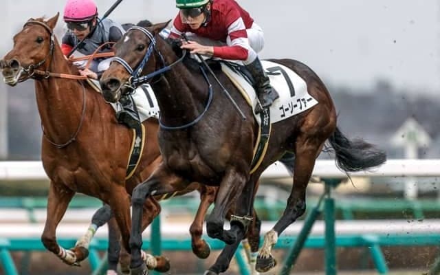 【フローラS予想】激荒れレースにもパターンがある？ 過去データから探るGIIフローラS