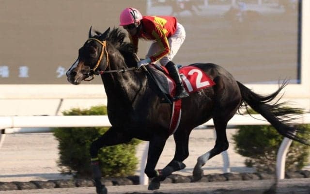 【高知・四万十川特別】伏兵アイファーキングズが快勝…1年3ヶ月ぶりV