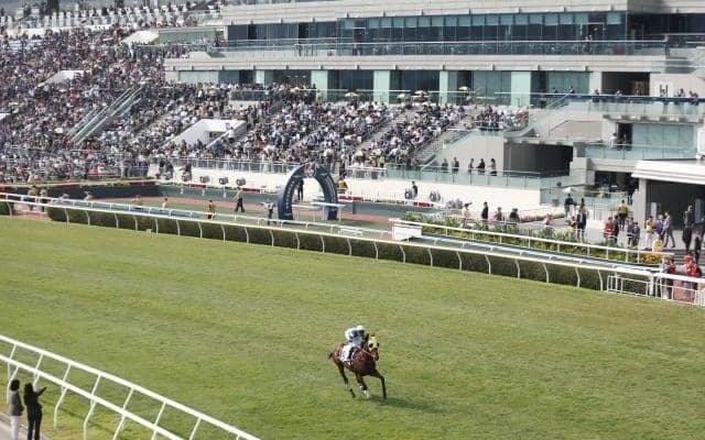 香港チャンピオンズデー 日本から3競走に計8頭が出走