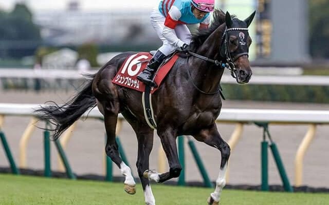 【マイラーズC・馬体重】ジュンブロッサムは482kg(+4)、セオは498kg(+2)