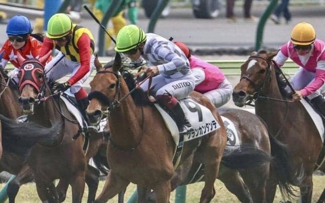 【福島8R】グランカンタンテが混戦から抜け出して2勝目…小沢大仁騎手が好調