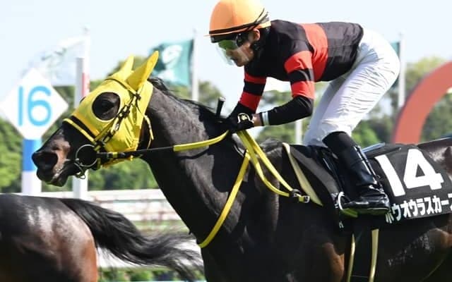 【JRA・WIN5】的中わずか3票！ 配当は1億8528万60円！