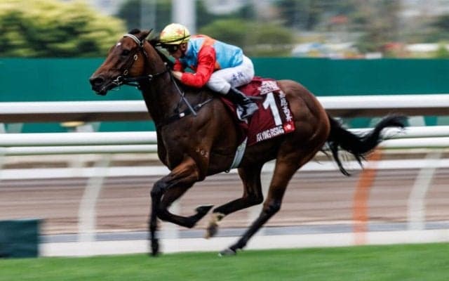 【チェアマンズスプリントプライズ】カーインライジングが12連勝…サトノレーヴは2着