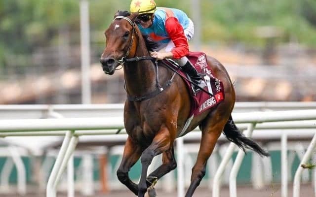 【香港・チェアマンズSP結果】カーインライジングが12連勝達成！ 日本のサトノレーヴが2着