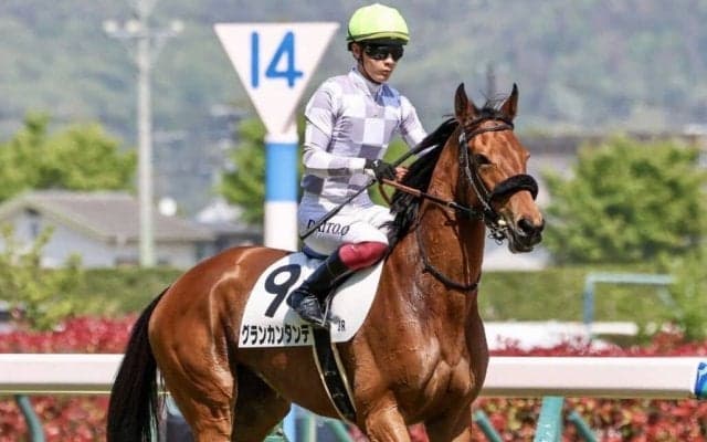 【福島8R】小沢「良い脚使ってくれた」グランカンタンテが2勝目