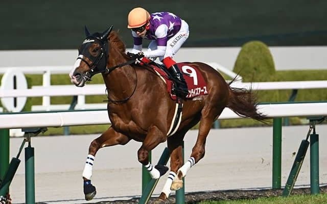 春の長距離王者決定戦・天皇賞(春)など3重賞/今週の競馬界の見どころ