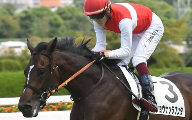 【天皇賞(春)見どころ】成長一途のショウナンラプンタがGI初制覇を狙う