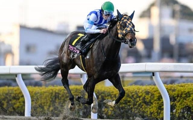 【大井・東京プリンセス賞枠順】重賞3連勝中のプラウドフレールは7枠13番