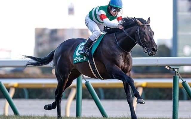 【天皇賞(春)想定騎手】ヘデントールはD.レーン騎手、サンライズアースは池添謙一騎手