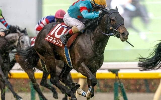 ドゥラメンテ産駒のダービー制覇は“ラストチャンス” 3戦全勝のエネルジコにかかる期待